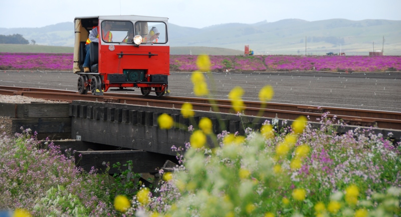 photo of speeder in flower fields